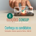 eleicoes consup