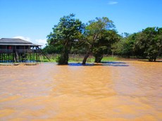 Moradia dos ribeirinhos próxima ao município de Santarém/PA, no período de cheia na floresta de várzea, banhada pelo rio Amazonas. Foto: Cecília Carvalho – Julho 2014.