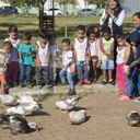 Visita alunos educação infantil na horta do Campus