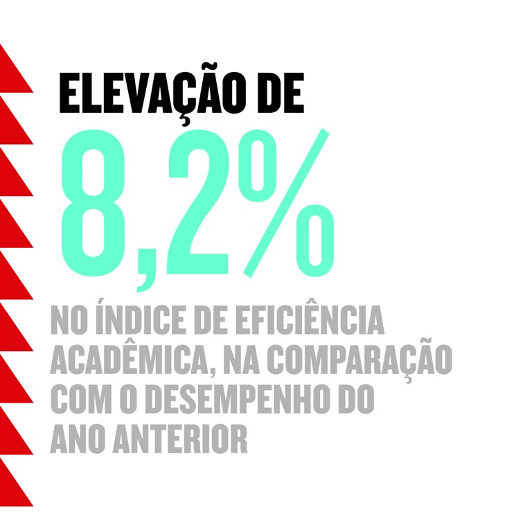 Relatório de Gestão IFMG 2019_10