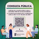 consulta pública