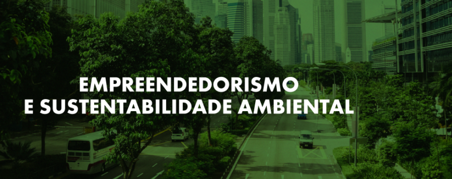 empreendedorismo e sustentabilidade ambiental