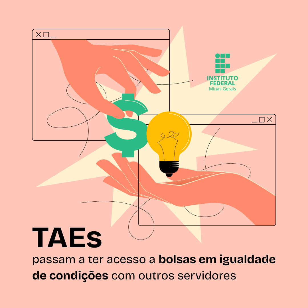 feed-taes-bolsas.jpg