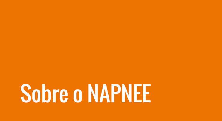 ícone napnee