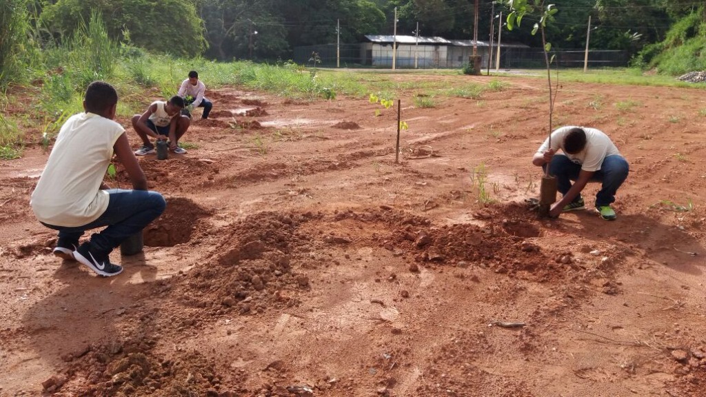 Plantio de Mudas no instituto