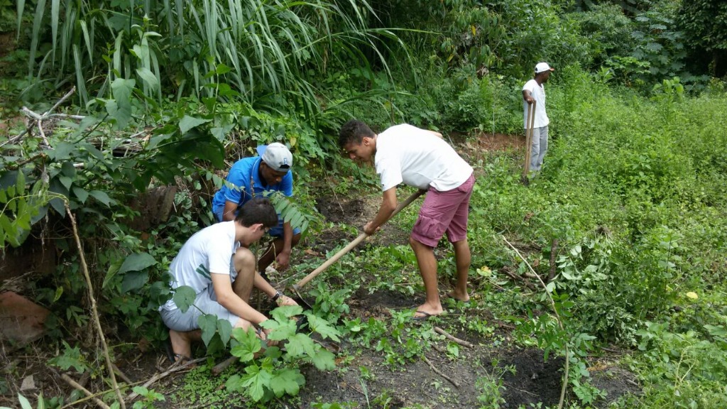 Plantio de mudas no campus