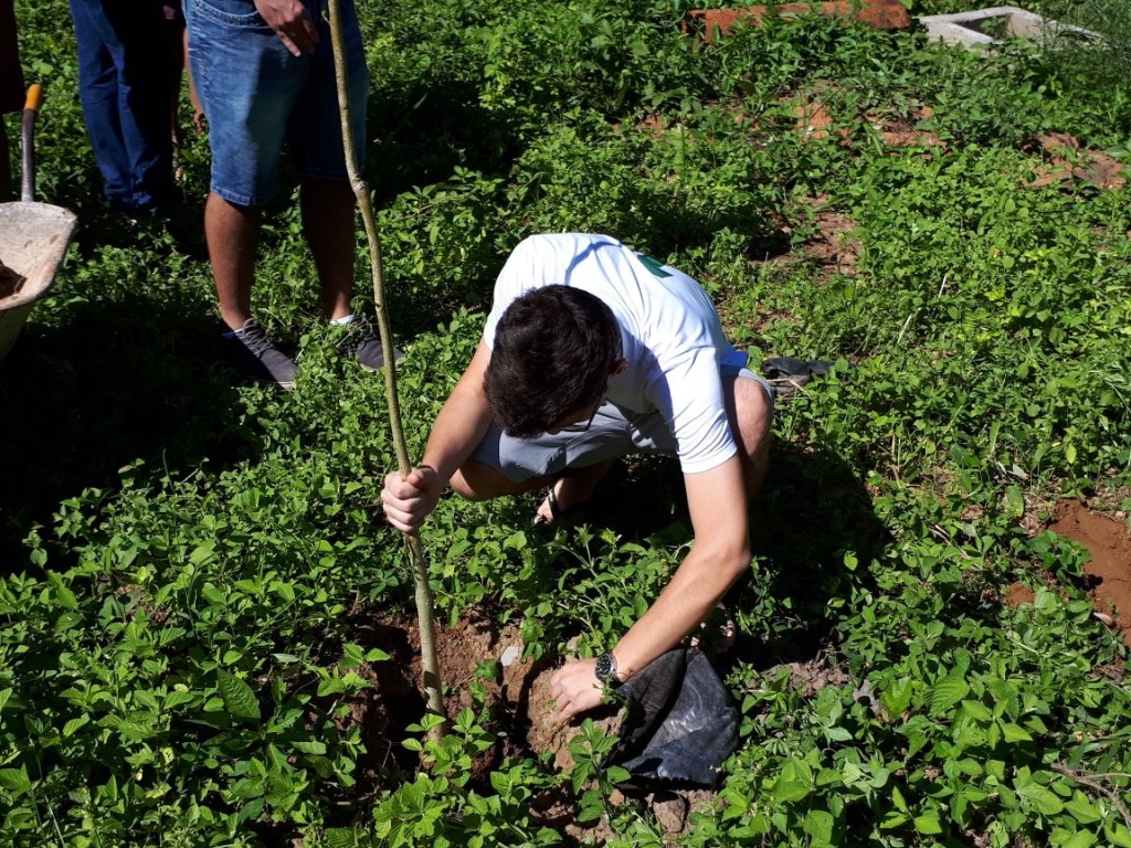 Plantio de mudas no campus