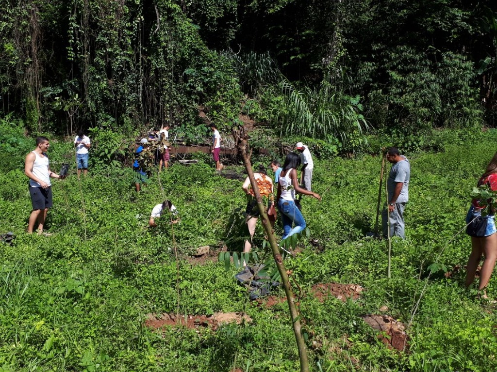 Plantio de mudas no campus