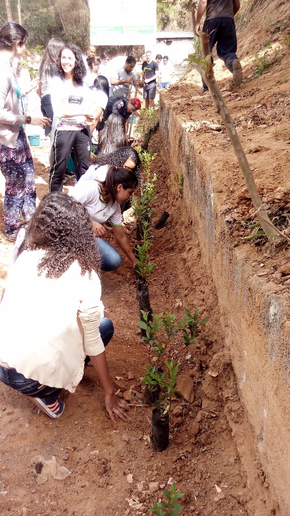 Estudantes realizando o plantio das mudas