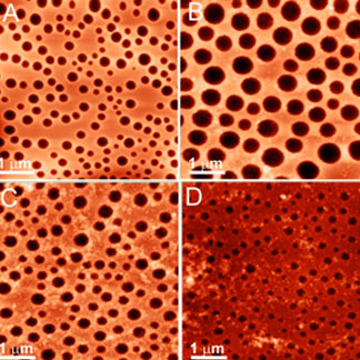 Sensores bioquímicos no microscópio.