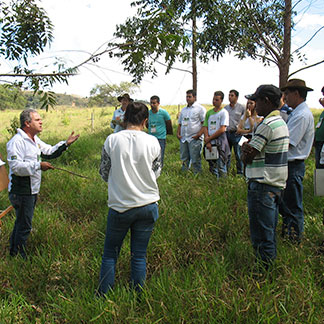 Foto do "Dia de campo"