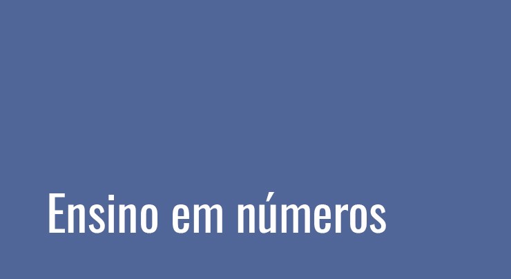 Ensino em números