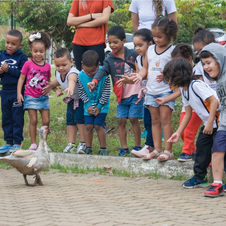 Visita de alunos da educação infantil à horta do Campus