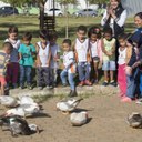 Visita de alunos da educação infantil à horta do Campus