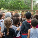 Visita de alunos da educação infantil à horta do Campus