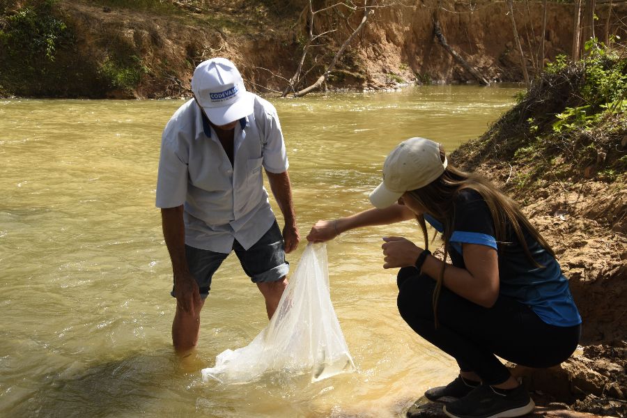 Peixamento-IFMG-Bambuí03.jpg