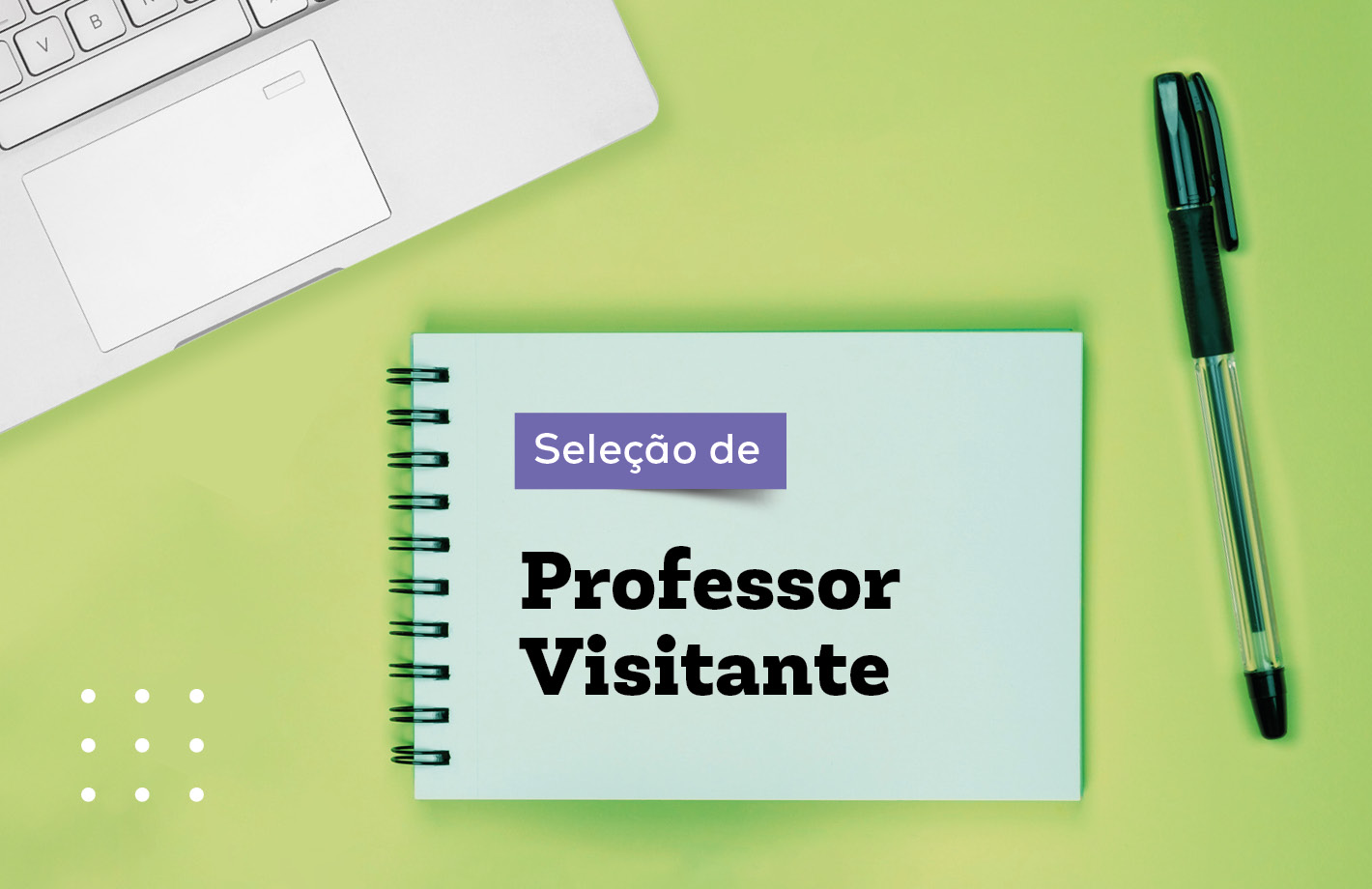profvisitante