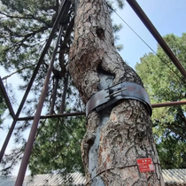 Professor realiza intercâmbio acadêmico na China Professor realiza intercâmbio acadêmico na China