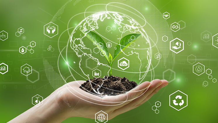 Mestrado em Sustentabilidade recebe inscrições