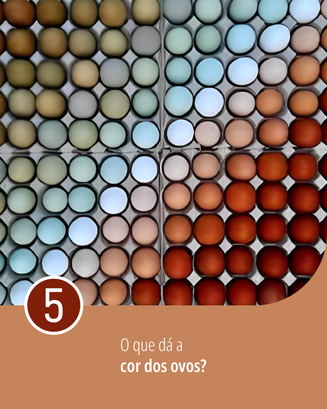 Textos mais acessados da revista IFMG Com Ciência