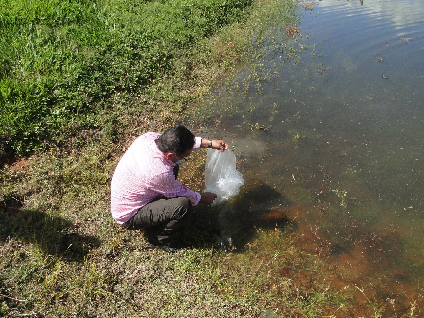 Peixamento-IFMG6.JPG