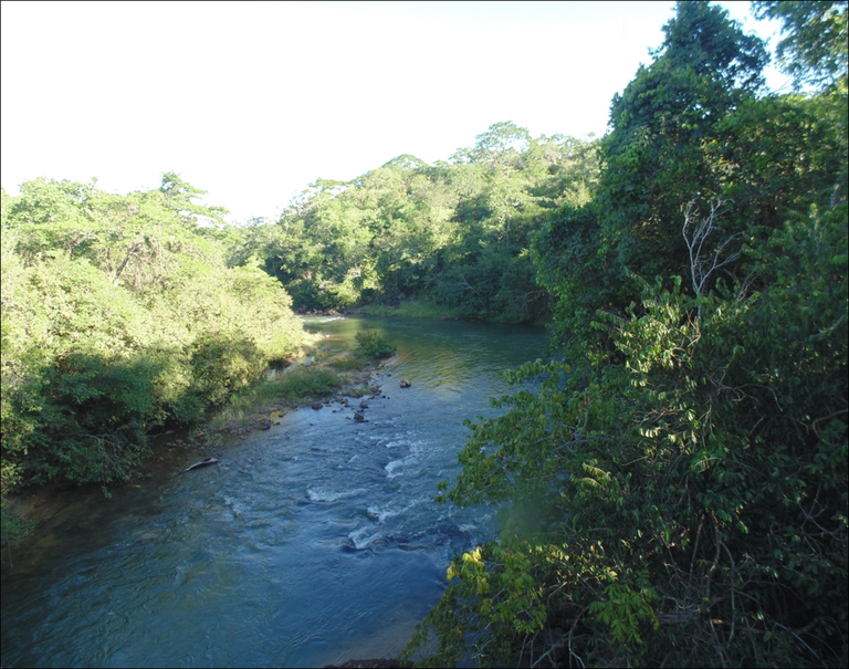 Mata Ciliar, subforma de Cerrado próximo ao Rio Pandeiros no Norte de MG