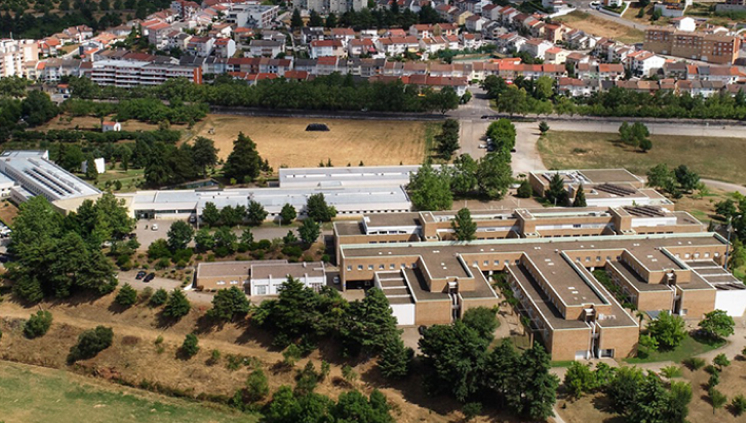 portal – intercambio portugal.jpg