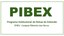 pibex.jpg