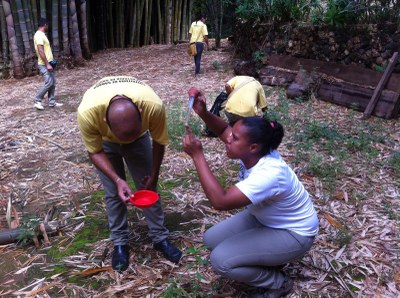 Agentes do setor de Zoonoses da SEMUSA procurando focos do mosquito.