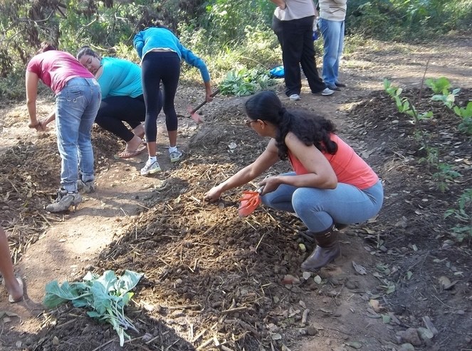 Projeto Horta: plantio das mudas