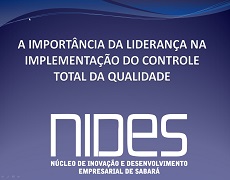 NIDES - A importância da liderança